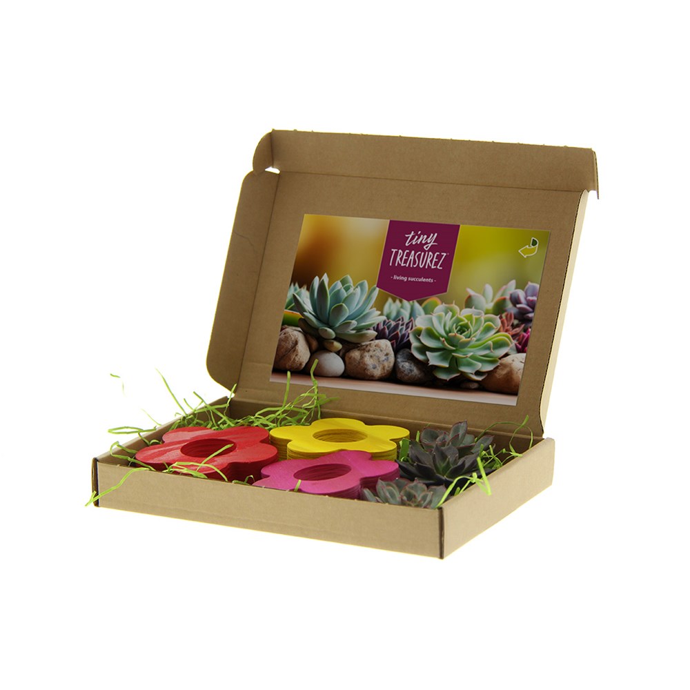 Tiny Treasurez® - Colourful blooms trio in brievenbusdoosje