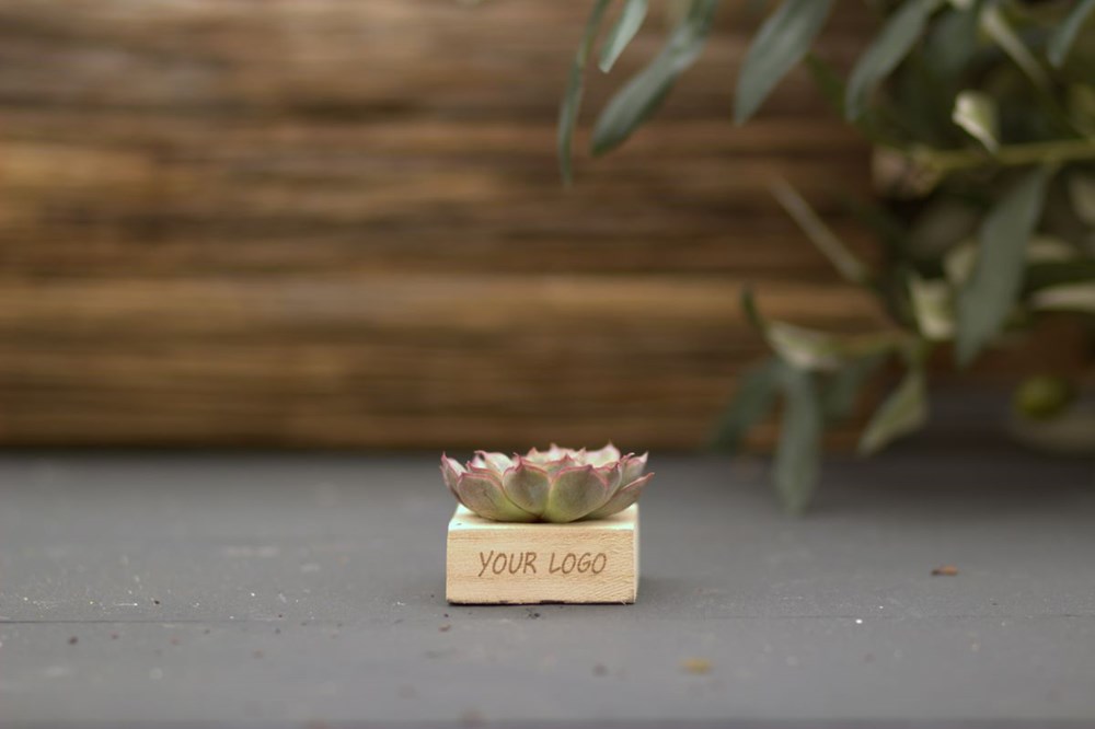 Tiny Treasurez® - Single wood in giftbox